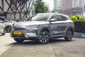 Photo - New BYD Song Plus 2024 Gray