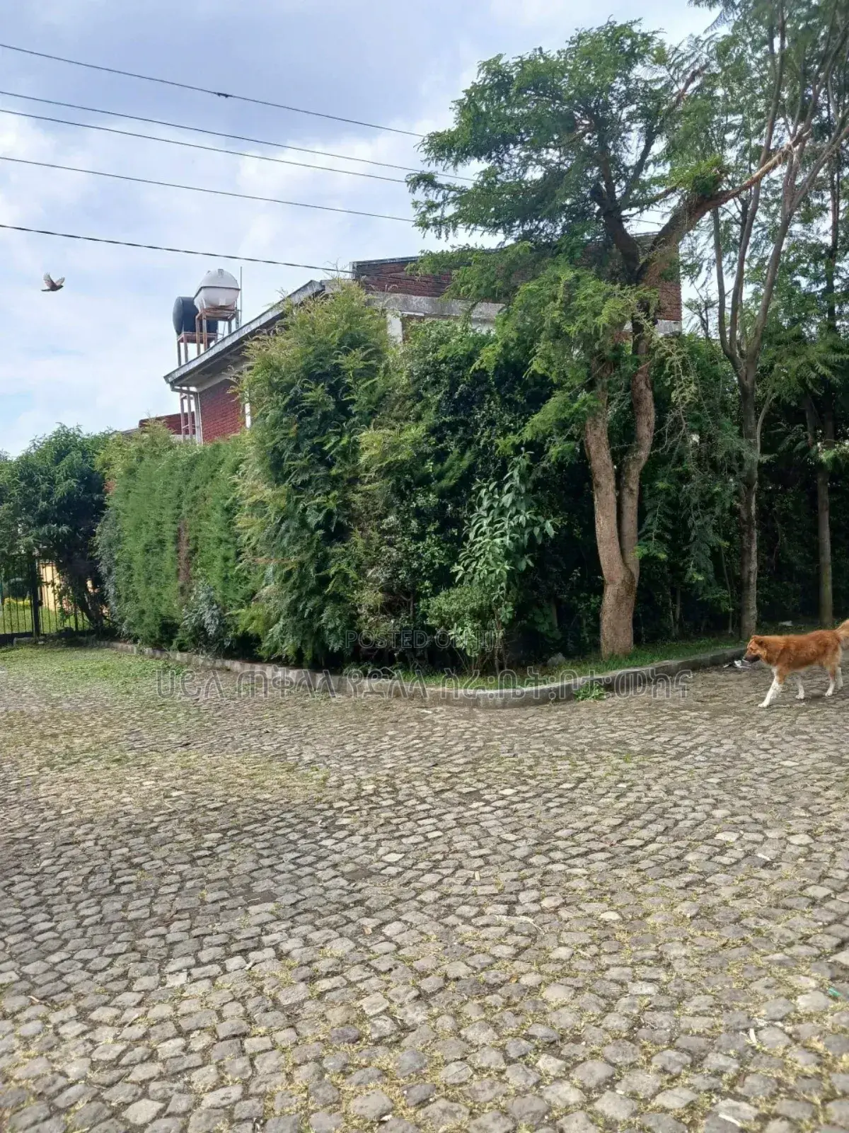 Furnished 6bdrm House in Ayat House, Yeka for sale