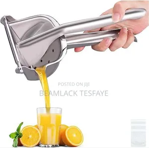 Photo - Safe Fruit Juicer