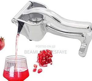 Safe Fruit Juicer