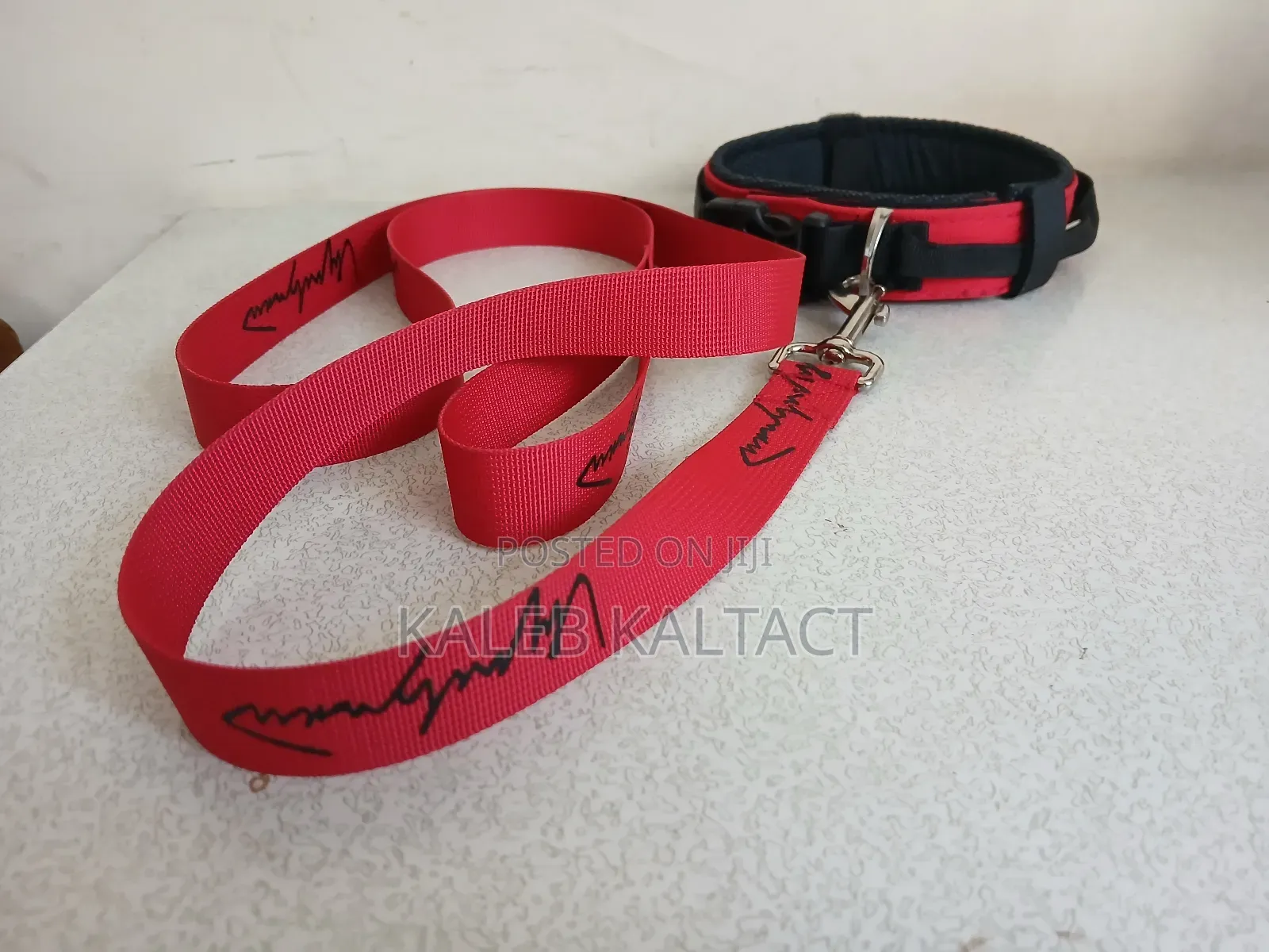 Heavy Duty Leash and Collar