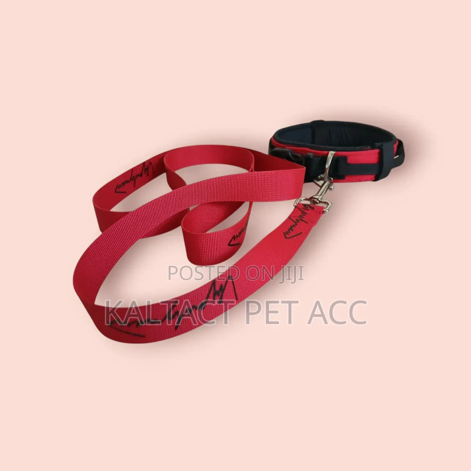 Heavy Duty Leash and Collar