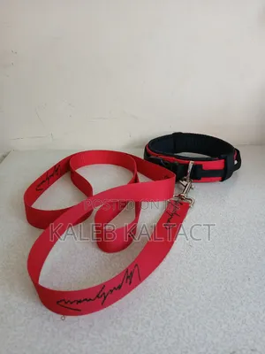 Heavy Duty Leash and Collar