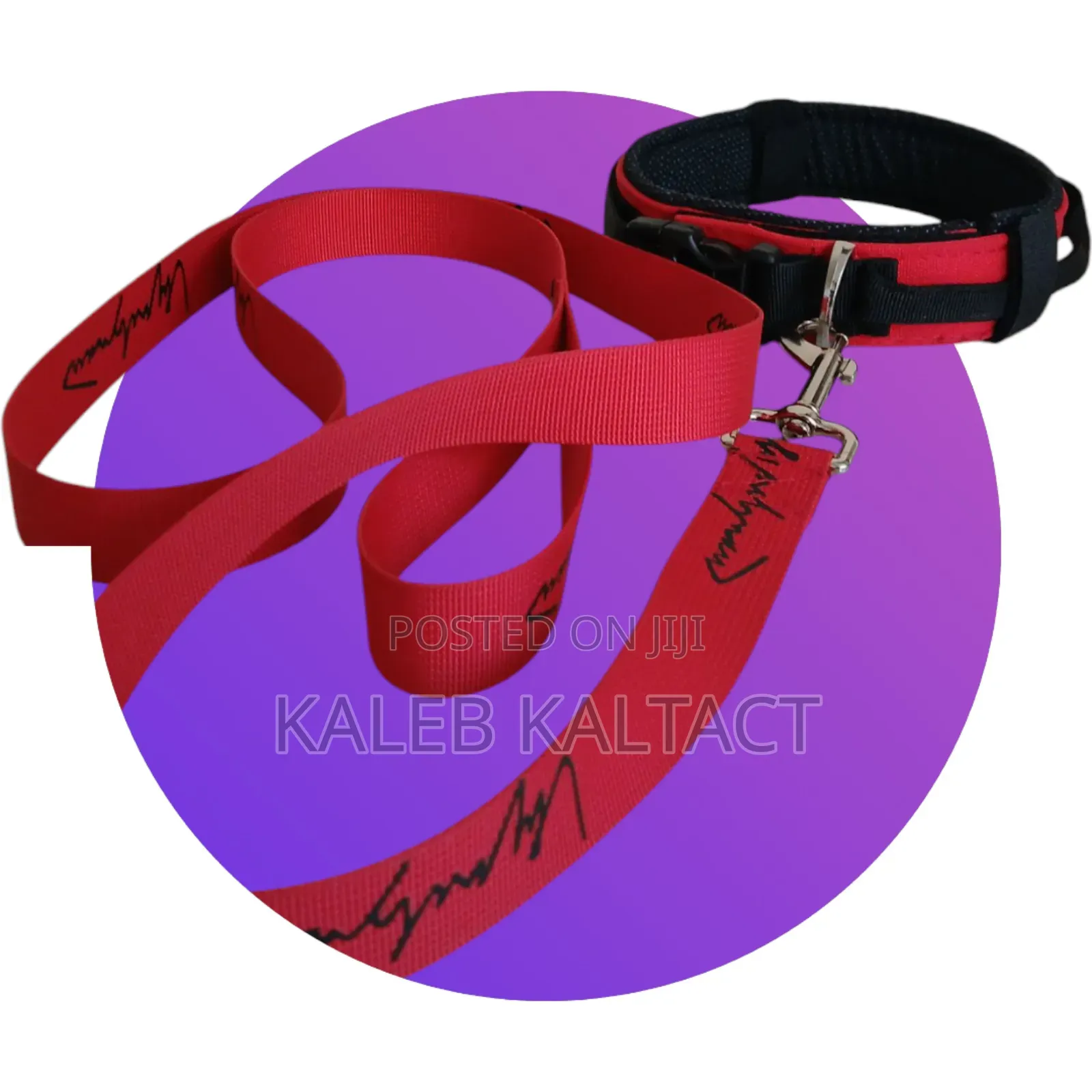 Heavy Duty Leash and Collar