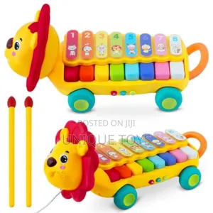 4-in-1 Xylophone Lion Toy Set