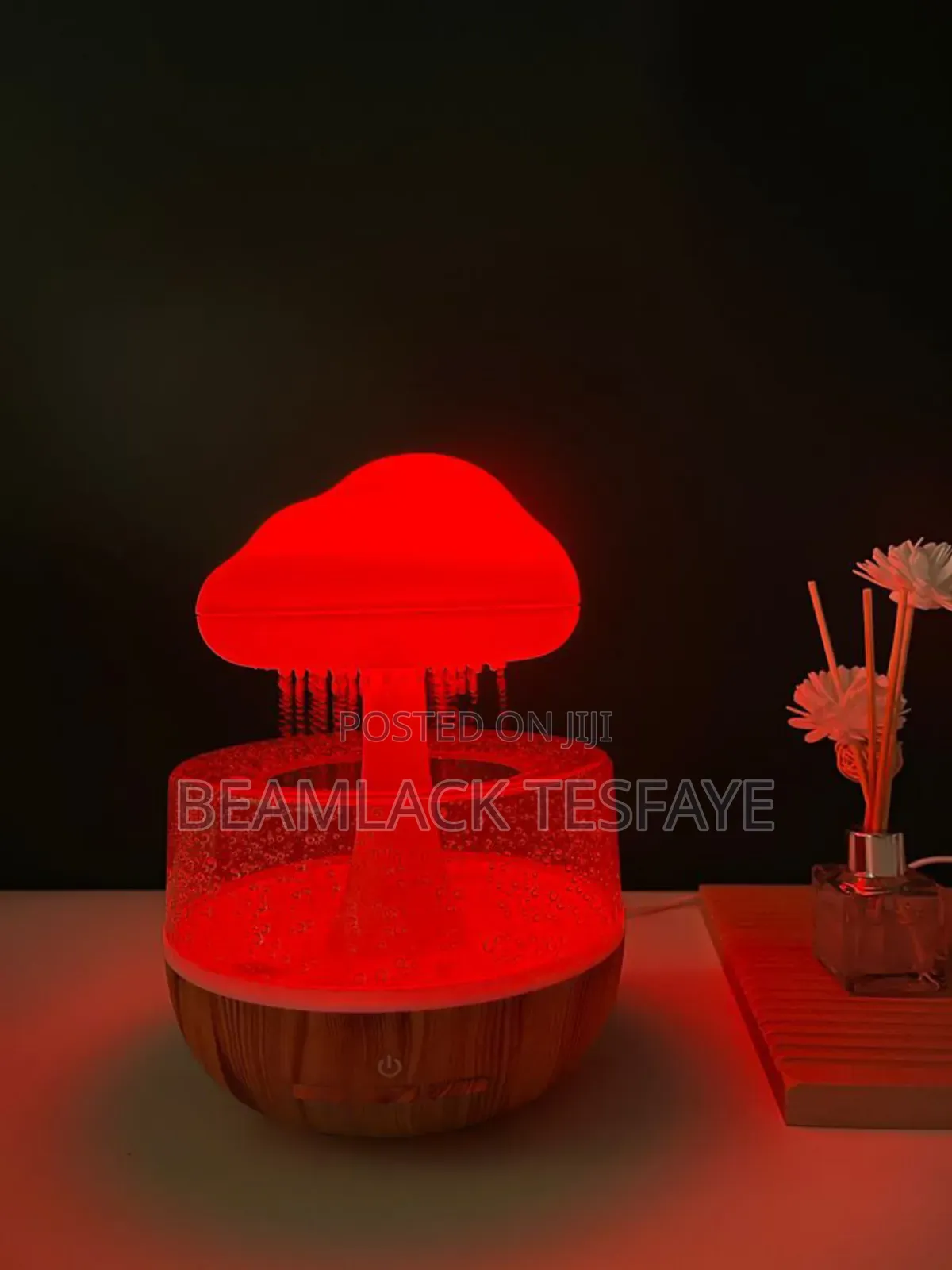 Cloud Rain Humidifier With Light