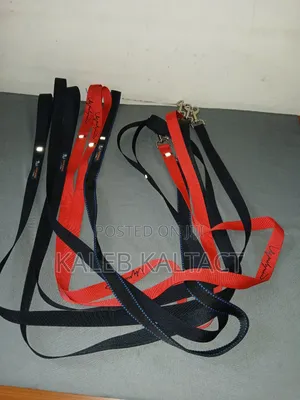 Photo - Dog Leash /Lead/