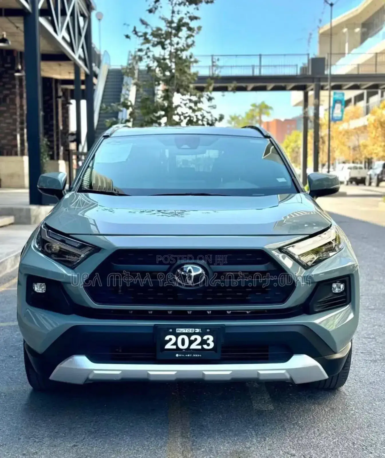 New Toyota RAV4 2023 Green