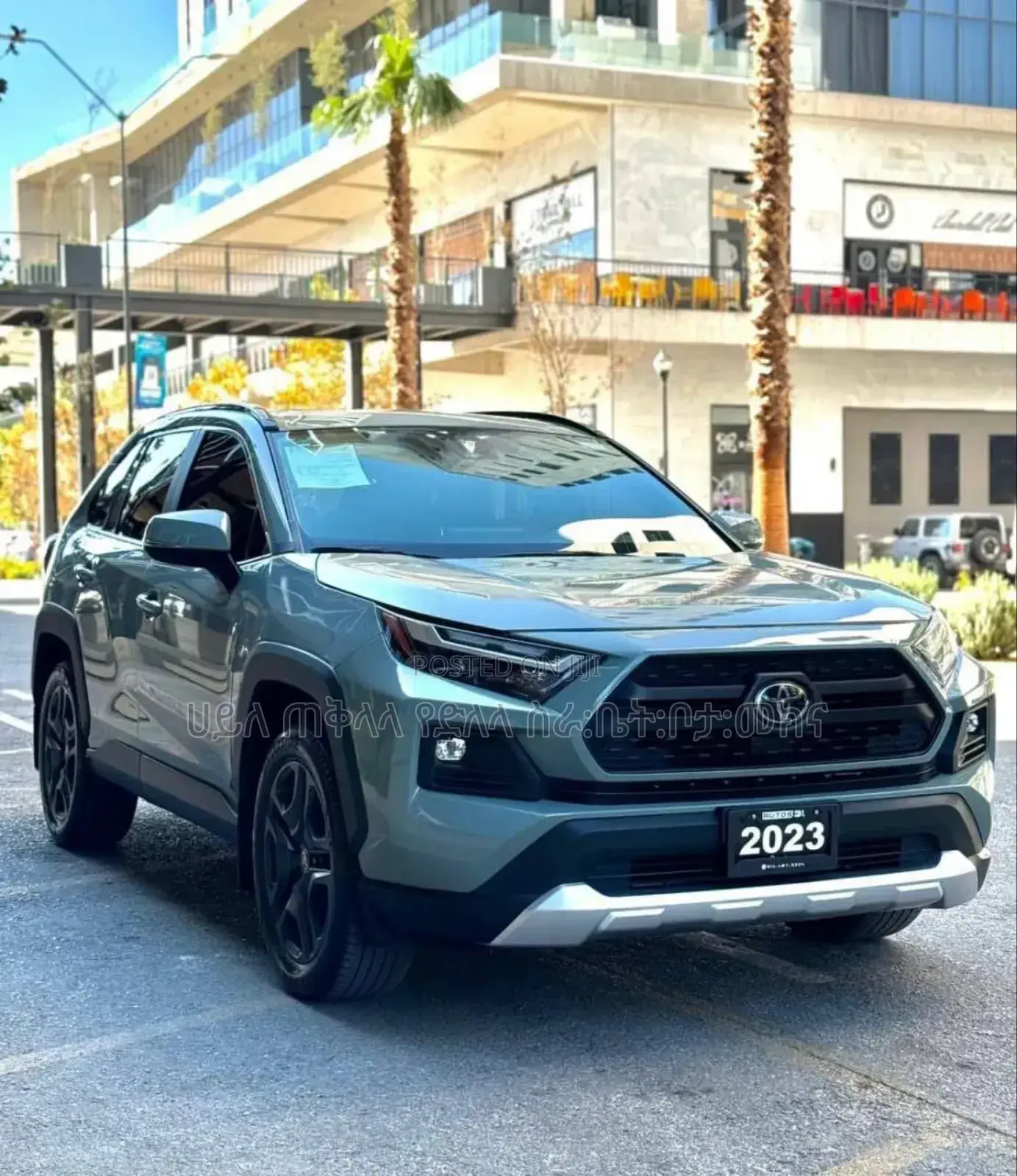 New Toyota RAV4 2023 Green