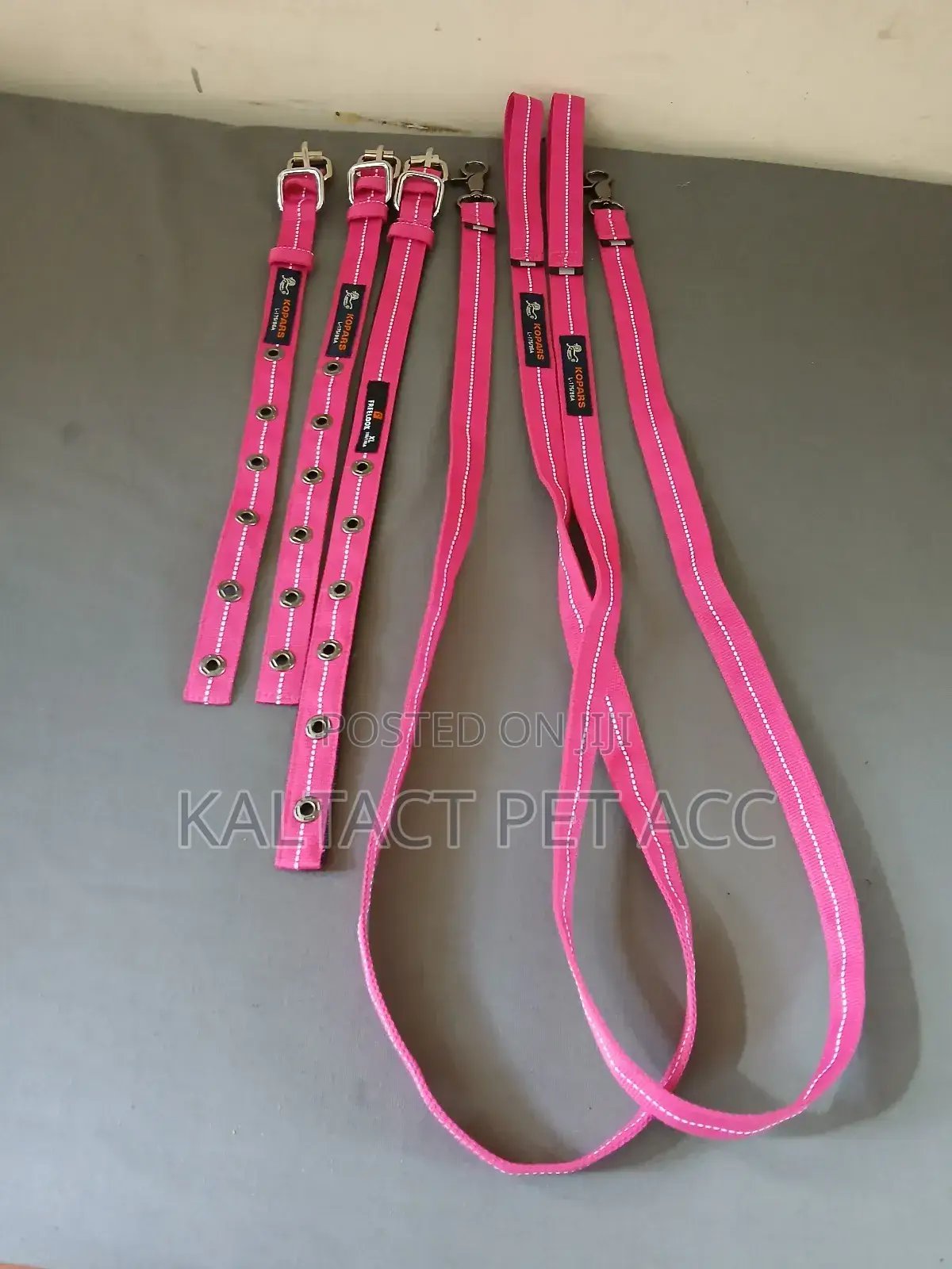 Complete Dog Leash and Collars for Puppies
