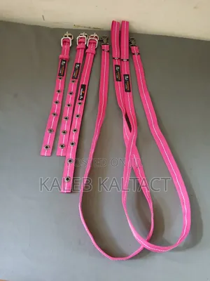 Complete Dog Leash and Collars for Puppies