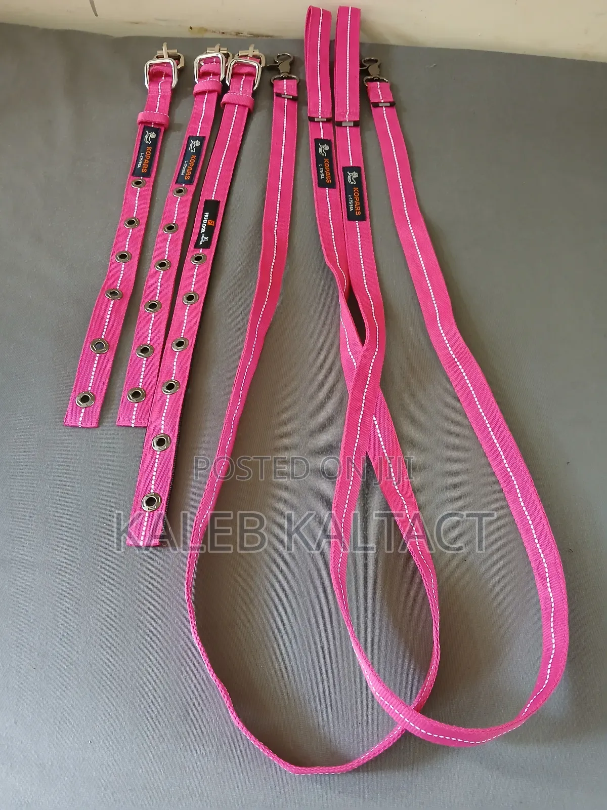 Complete Dog Leash and Collars for Puppies