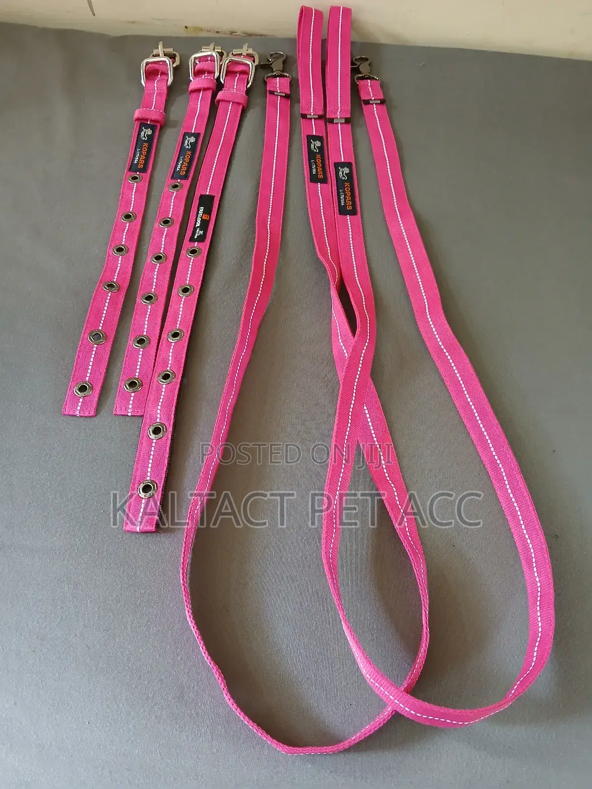 Complete Dog Leash and Collars for Puppies