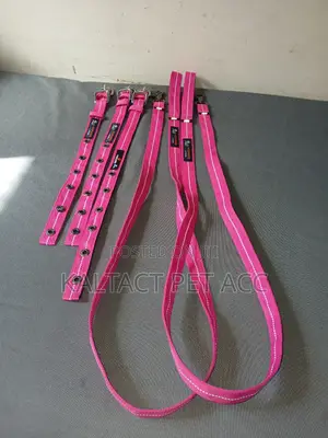 Complete Dog Leash and Collars for Puppies