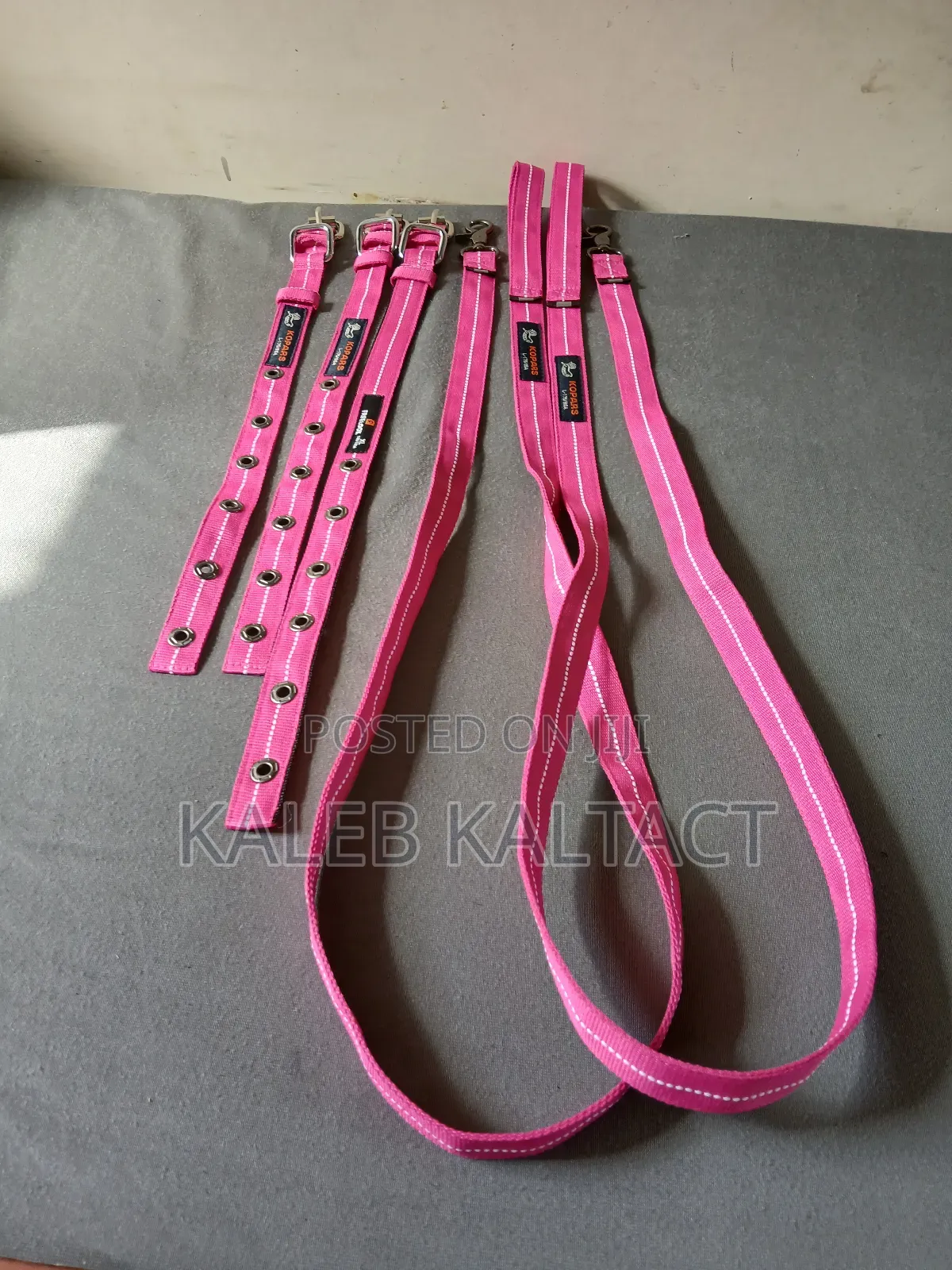 Complete Dog Leash and Collars for Puppies