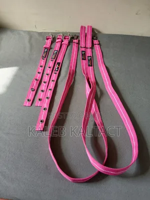 Complete Dog Leash and Collars for Puppies