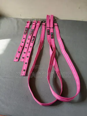 Complete Dog Leash and Collars for Puppies