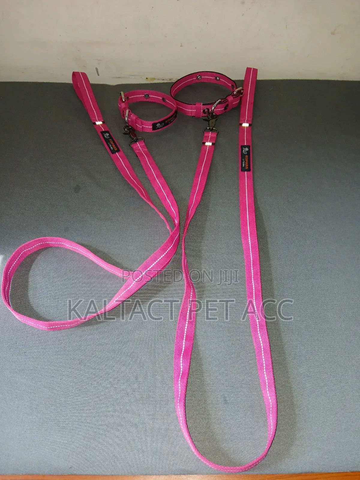 Complete Dog Leash and Collars for Puppies