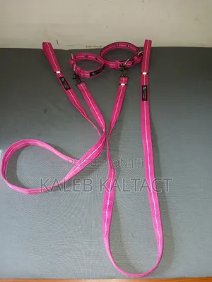 Photo - Complete Dog Leash and Collars for Puppies