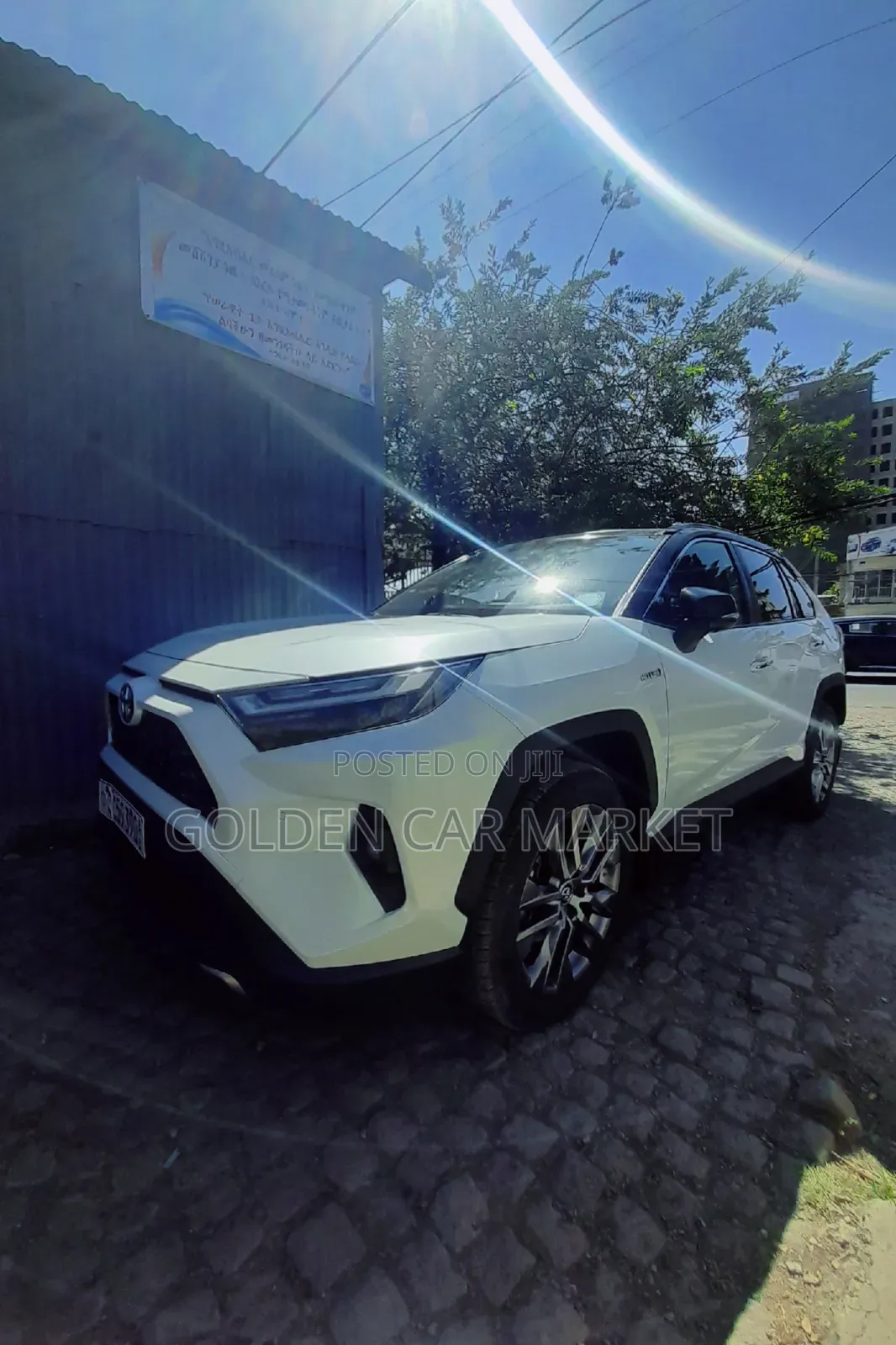 New Toyota RAV4 2023 White