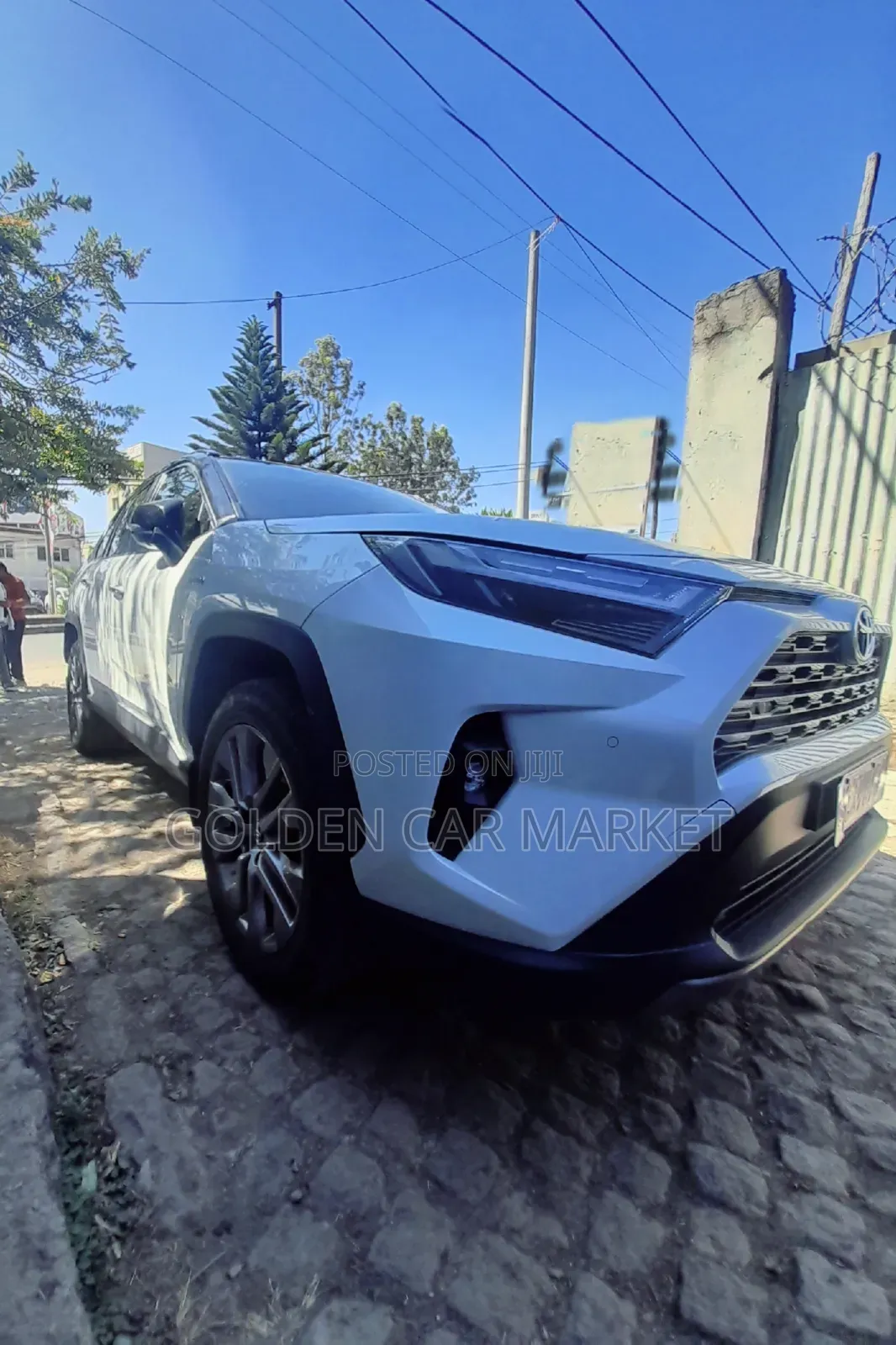 New Toyota RAV4 2023 White