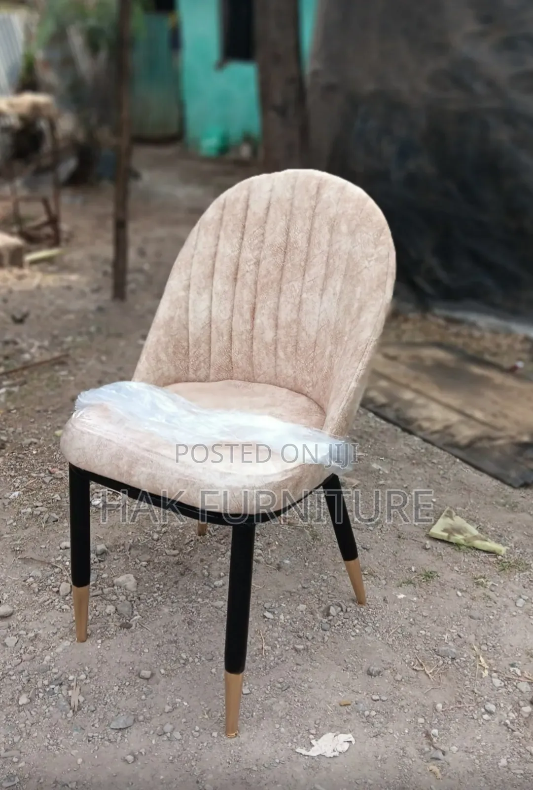 Cafe Dining Chair