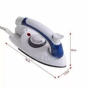 Palm Size Steam Iron