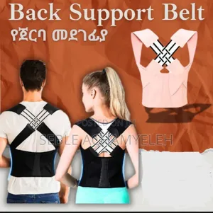 Photo - Back Support Belt