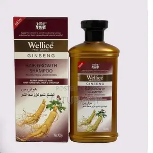 Wellice Professional Ginseng Hair Growth Shampoo