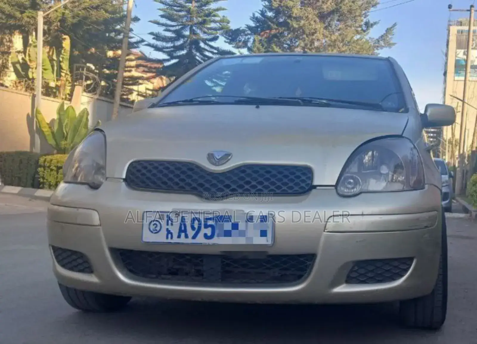 Toyota Vitz 2003 Gold