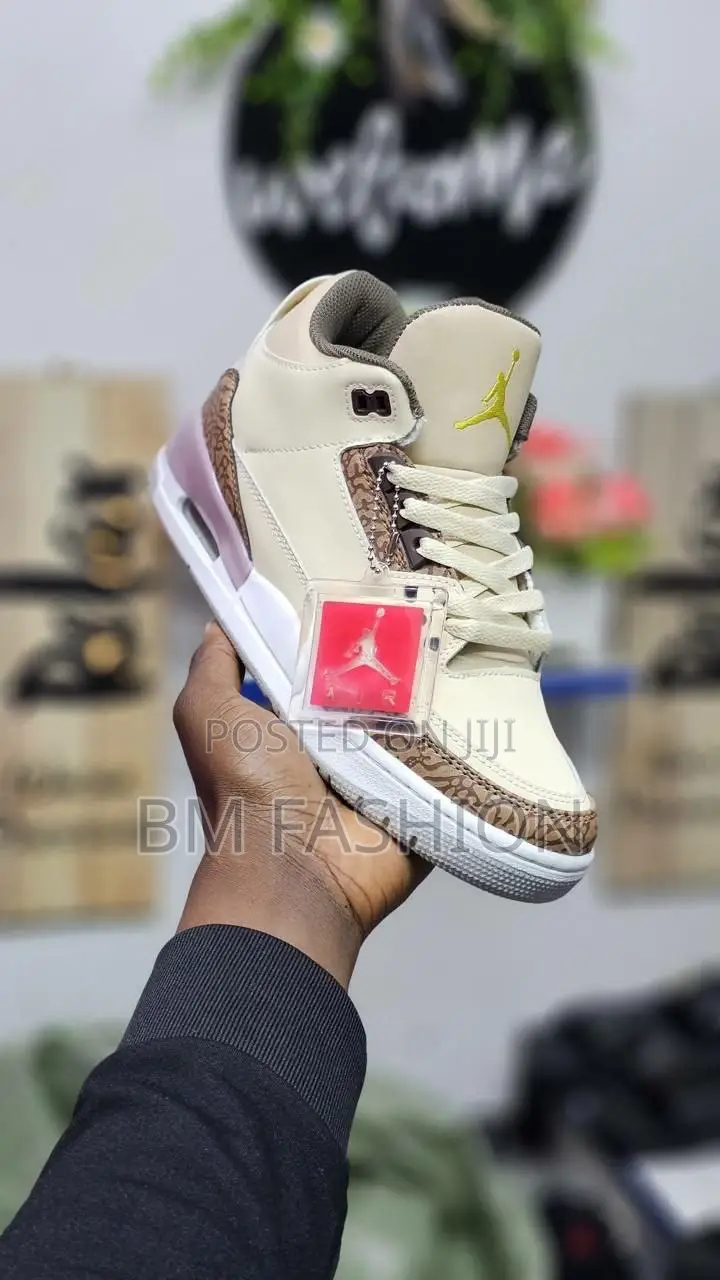 Air Jordan 3 With Many Colors