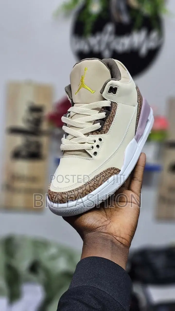 Air Jordan 3 With Many Colors