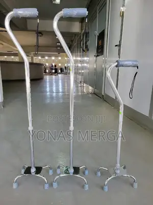 Photo - Walking Stick=Suitable for Individuals Needing Extra Support