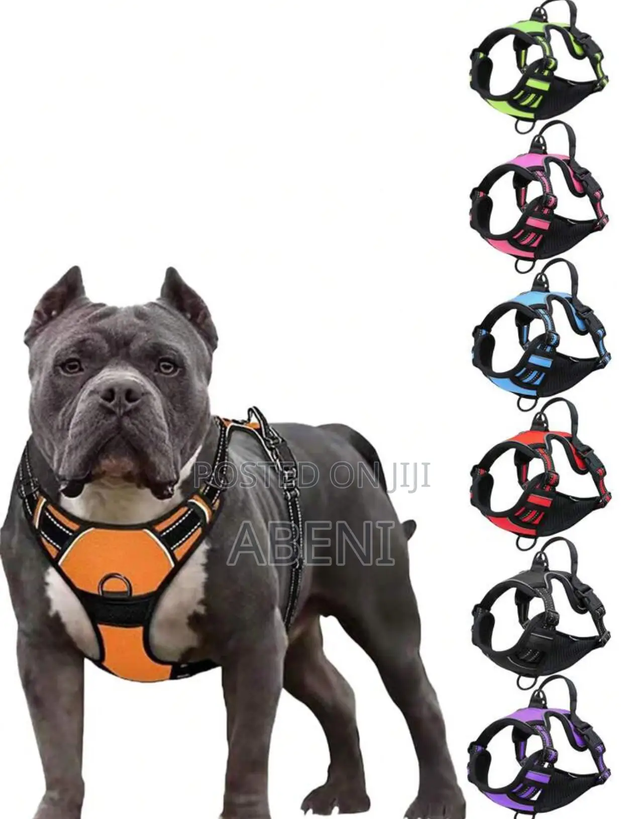 Dog Vest , Harness