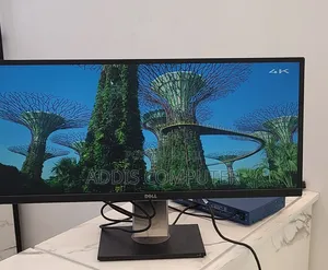 Dell Monitor 29 Inch