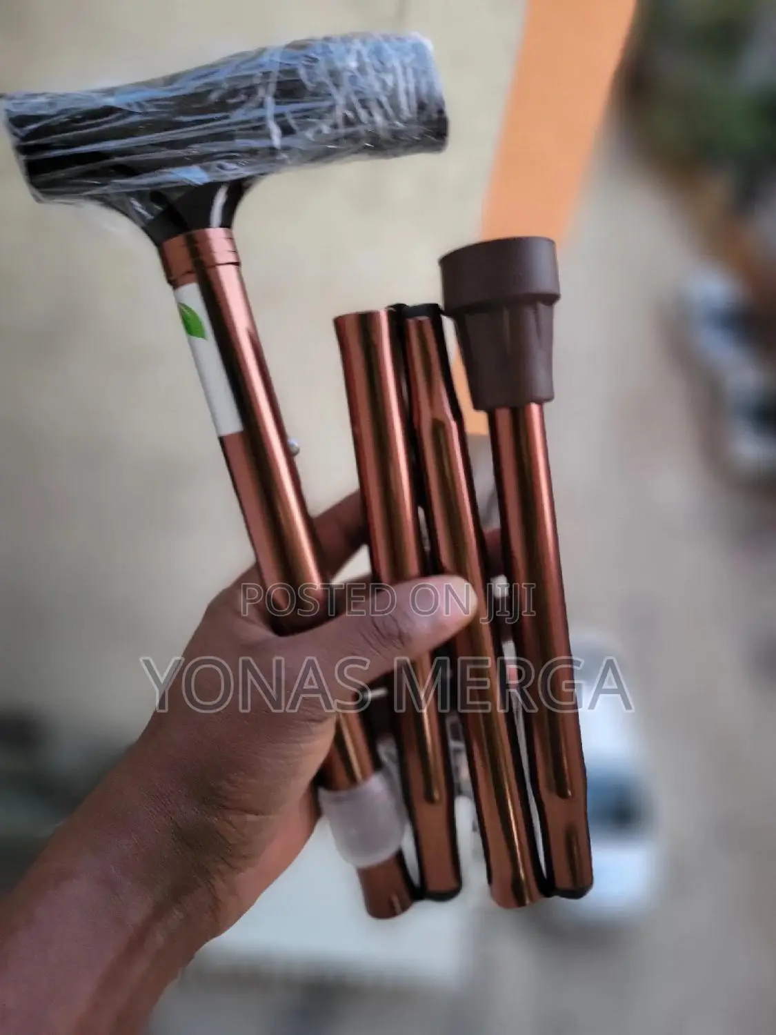 Standing Walking With a Walking Stick፵駅strength/Endurance