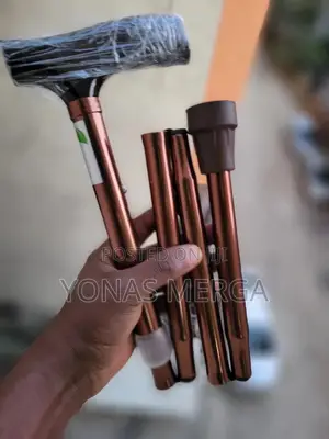 Photo - Standing Walking With a Walking Stick፵駅strength/Endurance