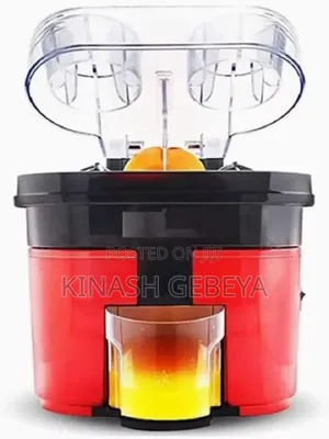 500ml Sonifer High Quality Juicer