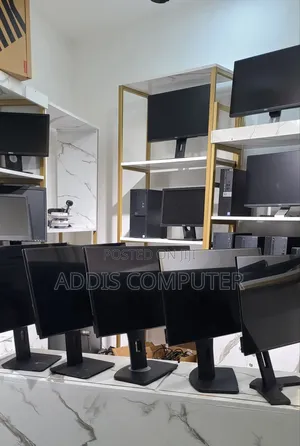 Dell Monitor 24 Inch