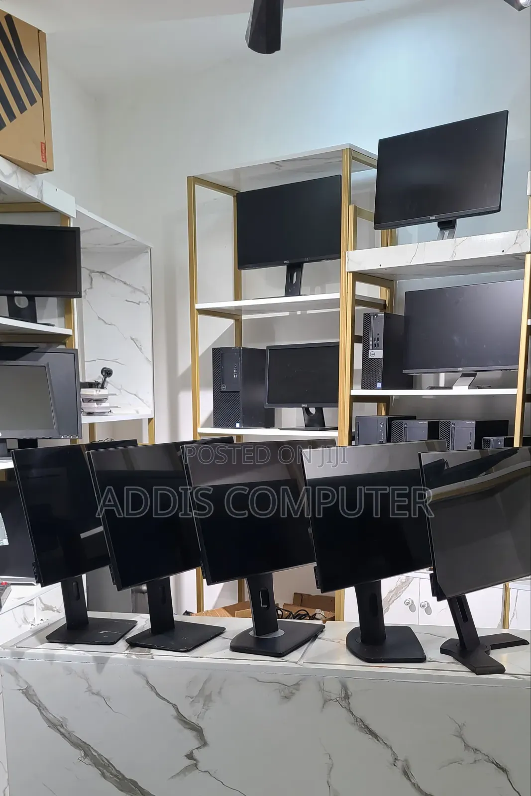 Dell Monitor 24 Inch