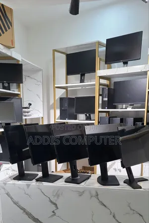 Dell Monitor 24 Inch