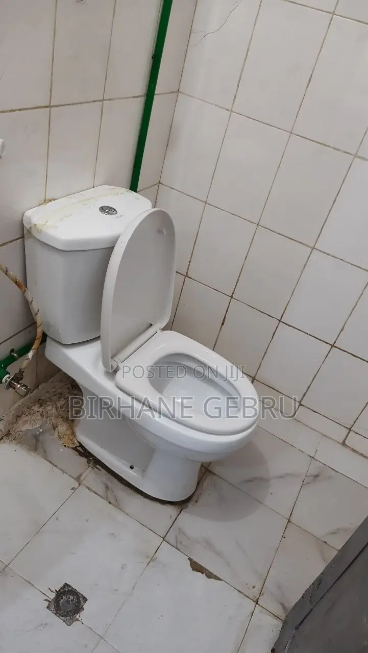 Luxury Apartiment Rent for Office