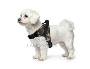 Photo - Saddle Harness for Dog and Cats