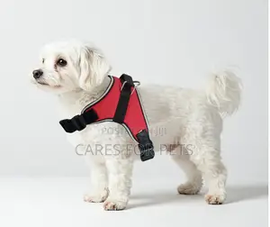 Photo - Red Saddle Harness_