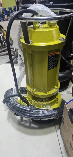 Sewage Pump