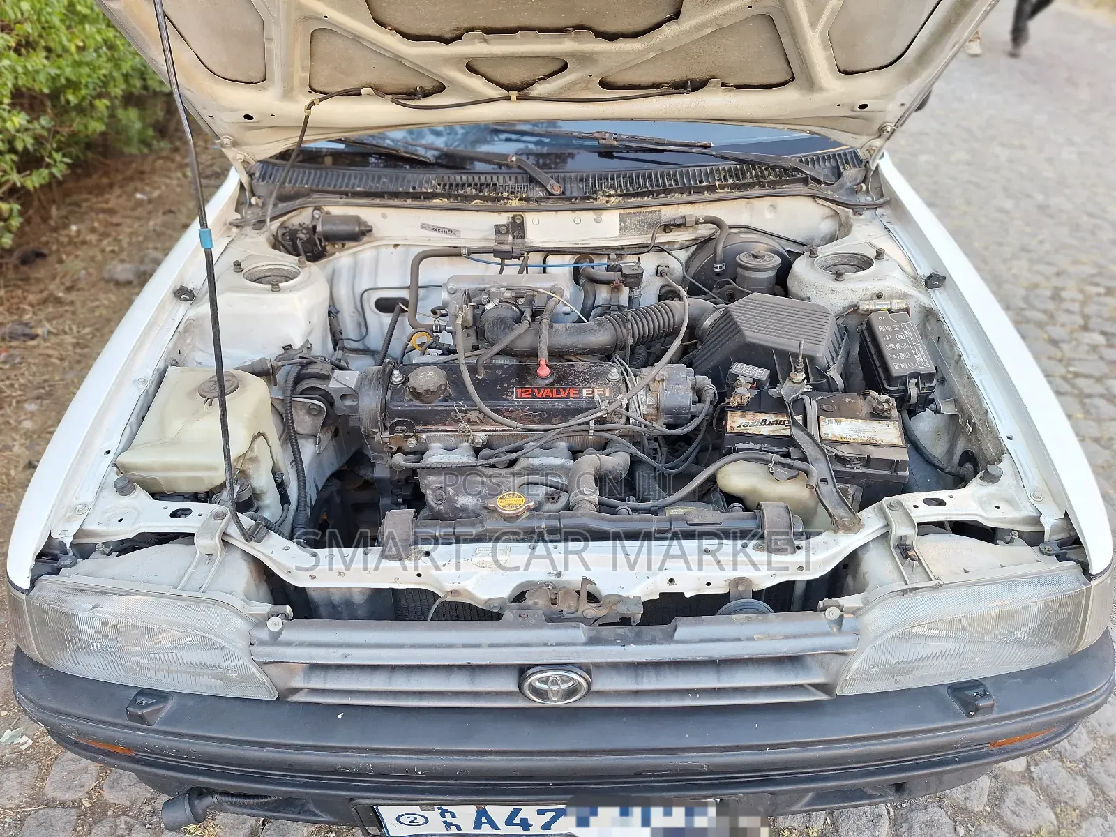 Toyota Corolla 1992 White