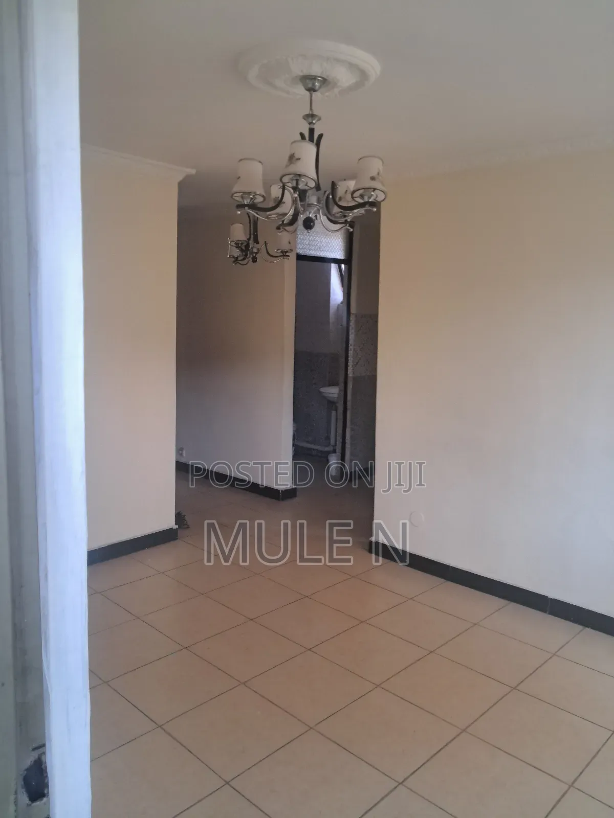 Furnished 1bdrm Condo in Abado Condominium, Yeka for sale