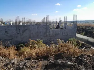 Photo - አስቸካይ የሚሸጥ መሰረት