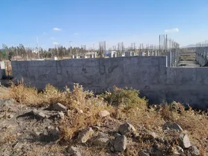 አስቸካይ የሚሸጥ መሰረት