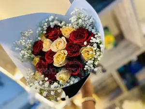 Yaho Graduation  Gift  Gift